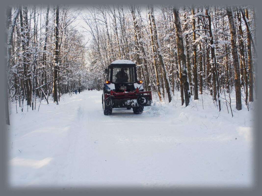 В лесу - marmorozov Морозова