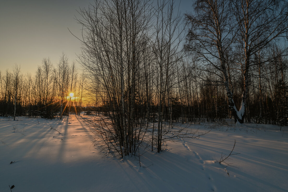 холодные лучи - сергей 