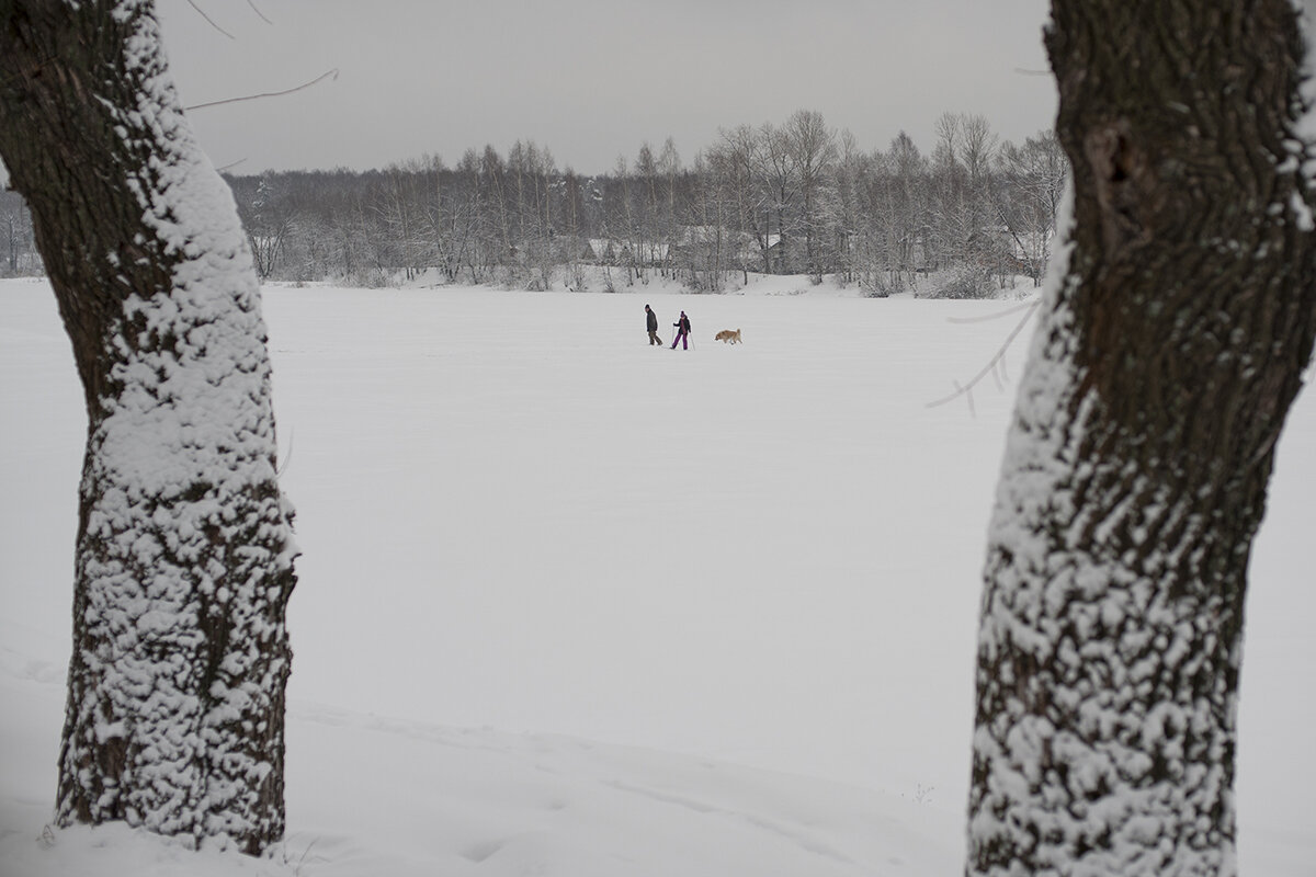 Без названия - Владимир Носов