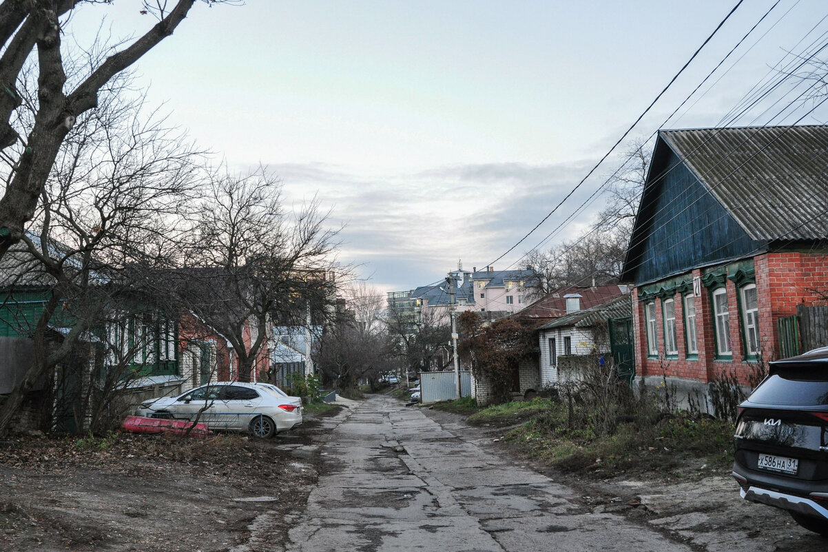 Сумерки в декабре - Татьяна Машошина