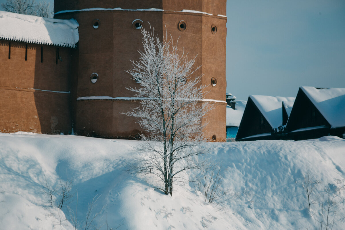 На фоне древних стен... - Вячеслав Владимирович