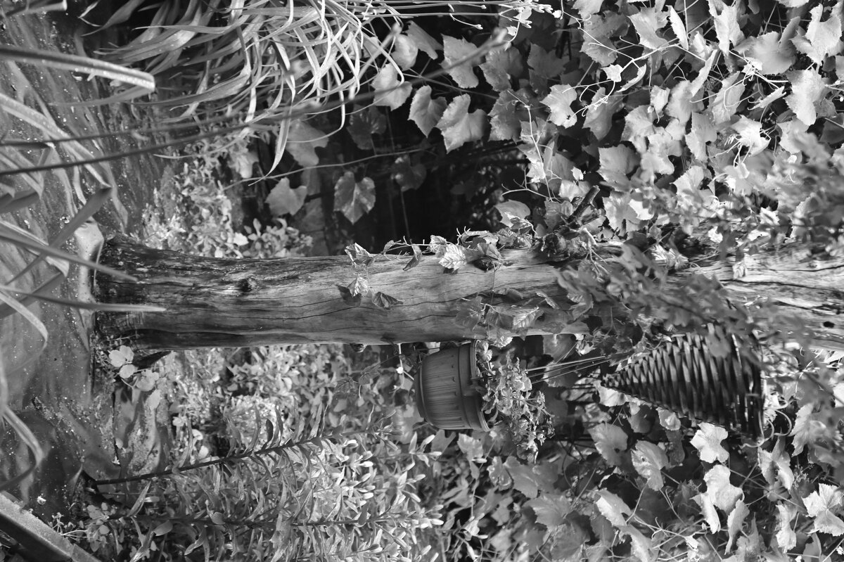 / - Константин Сафронов