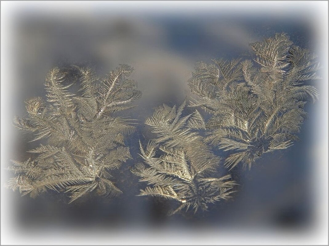 Морозные узоры ... - Валентина Надсон