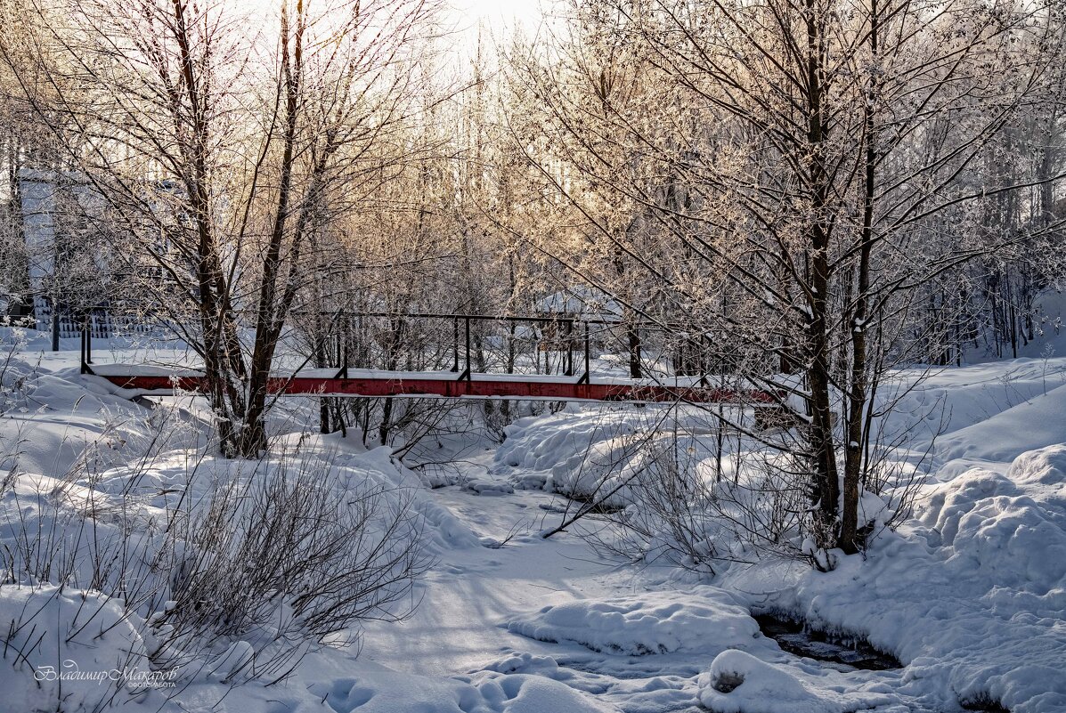 "Ажурный свет в морозный день. У речки"© - Владимир Макаров