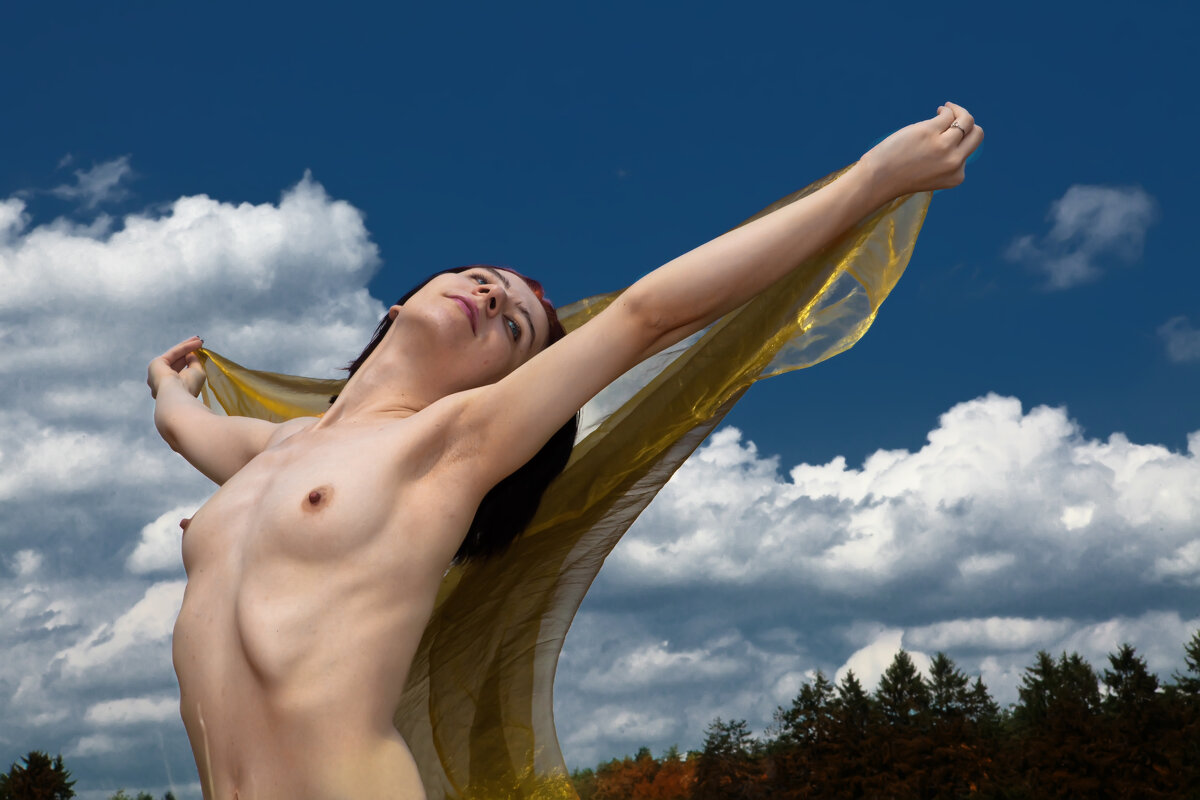 В небо бы взлететь... - Valziwa 