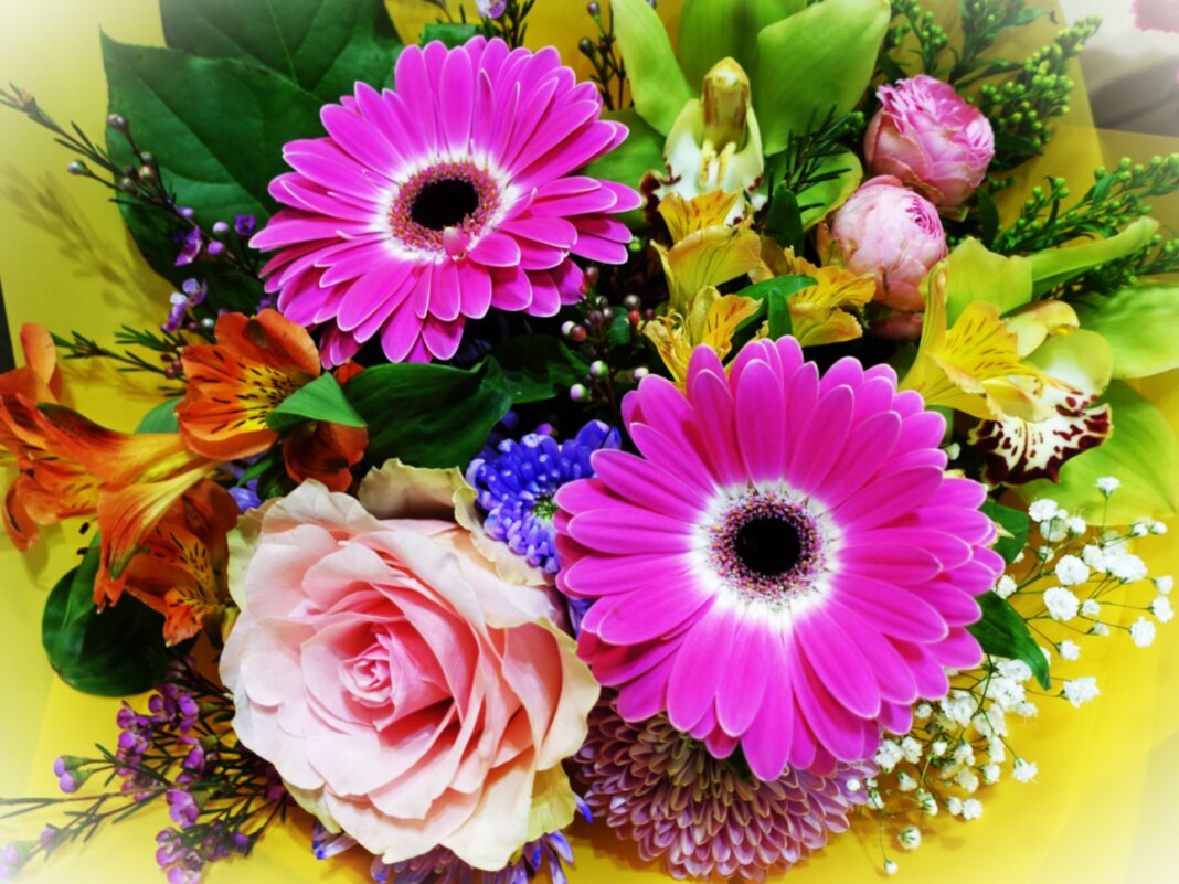 С Днём Ангела Татьяны! - Aida10 