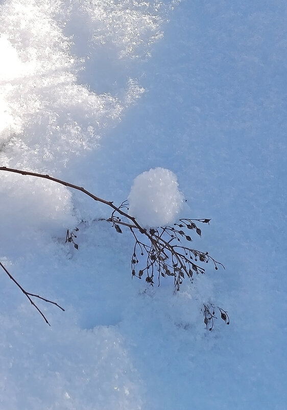 Настоящая зима! - Валентина  Нефёдова 