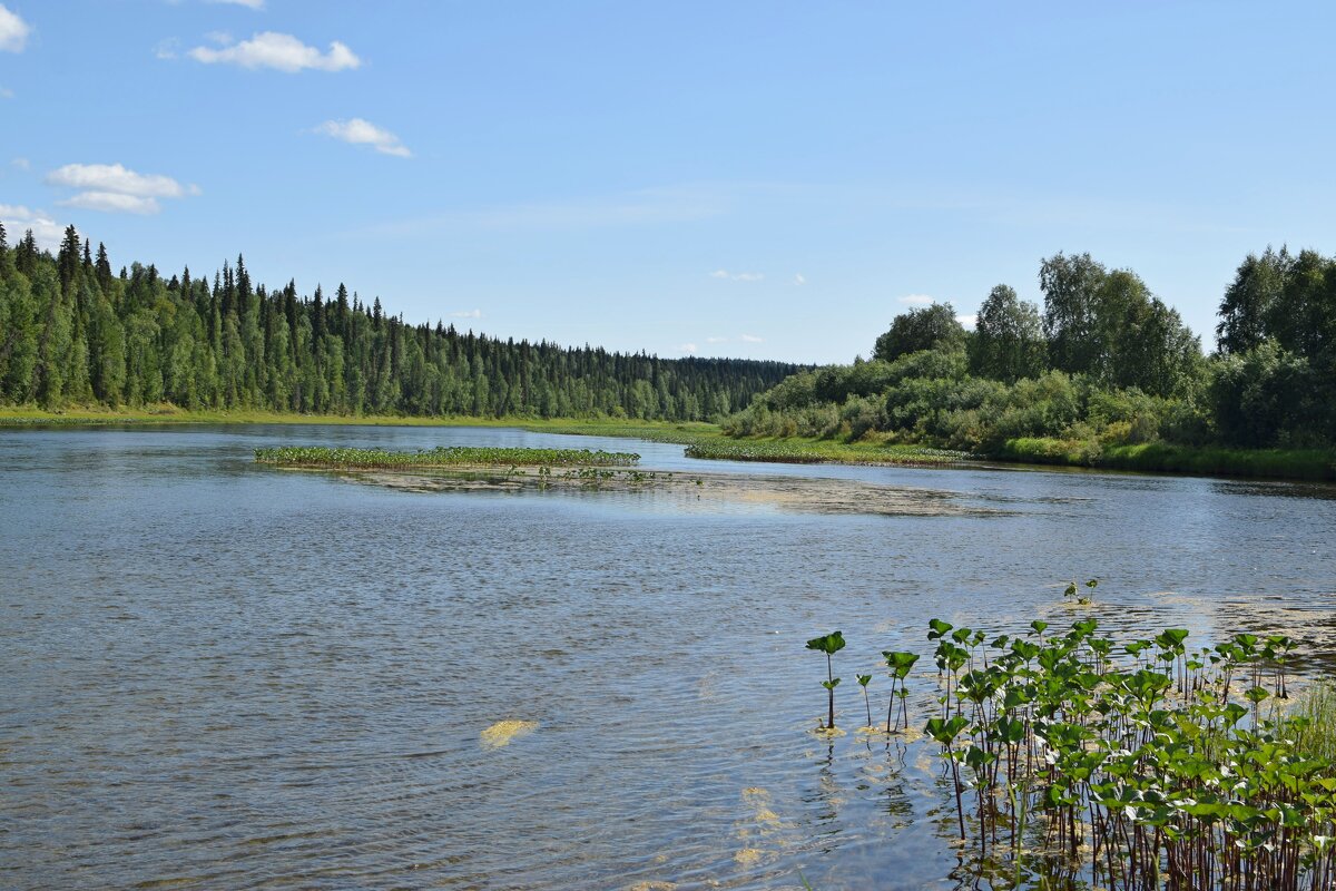 Островок. - ВикТор Быстров