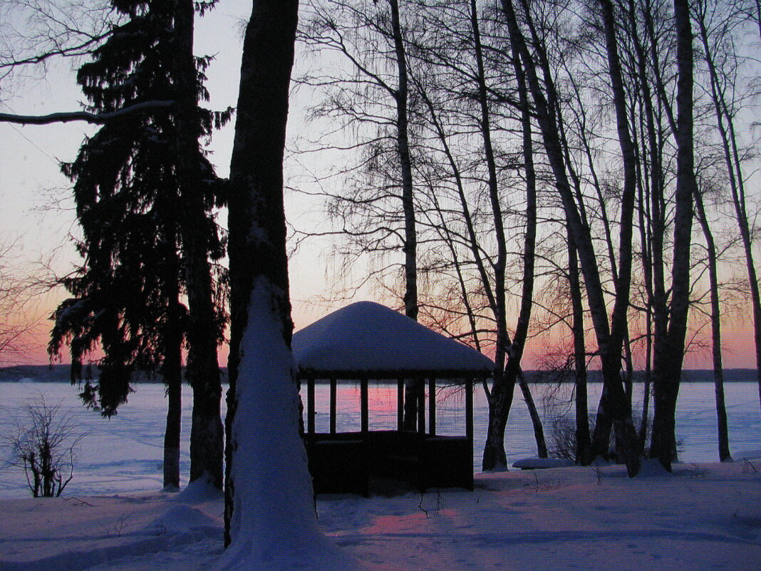 На берегу Можайского водохранилища - Людмила Смородинская На берегу Можайского водохранилища - Людмила Смородинская