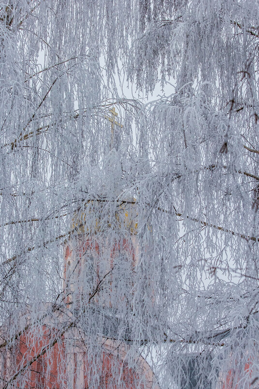 В морозных кружевах ... - Ravile 