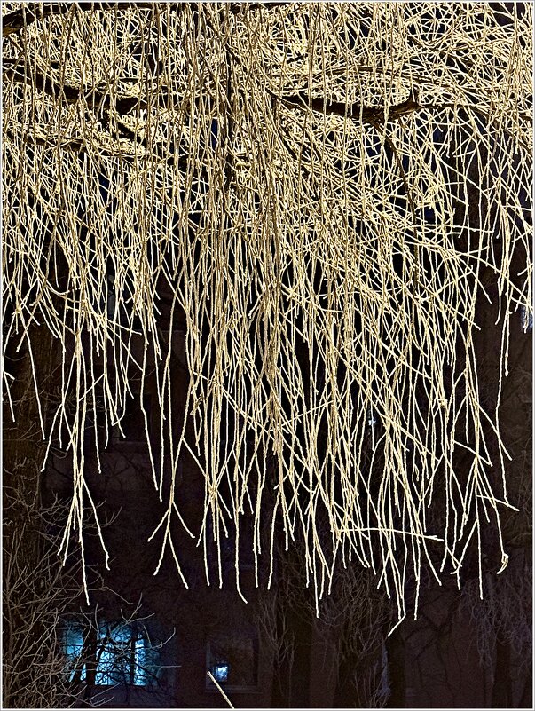 Ветви ивы. Изморозь. - Валерия Комова