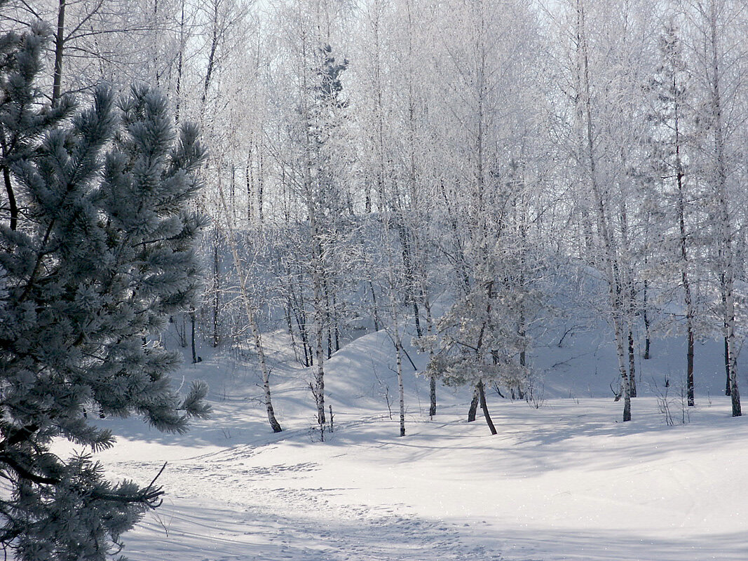 Зимнее утро - MILAV V