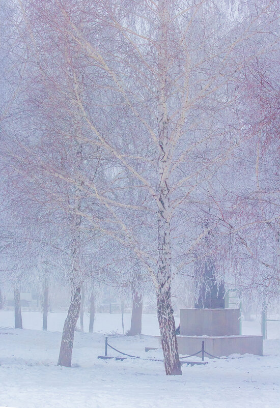 В морозных кружевах ... - Ravile 