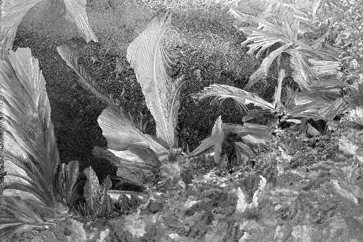 М4 - Алексей Смирнов