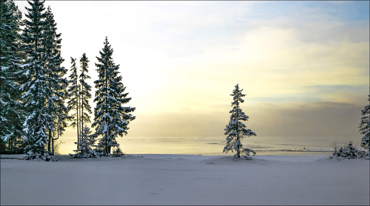 *  *  * - Андрей Бобин