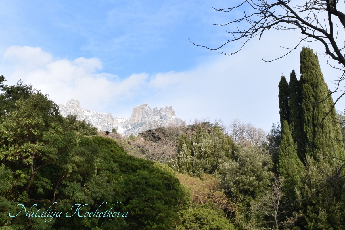 Природа Крыма - Amazing Cosmea