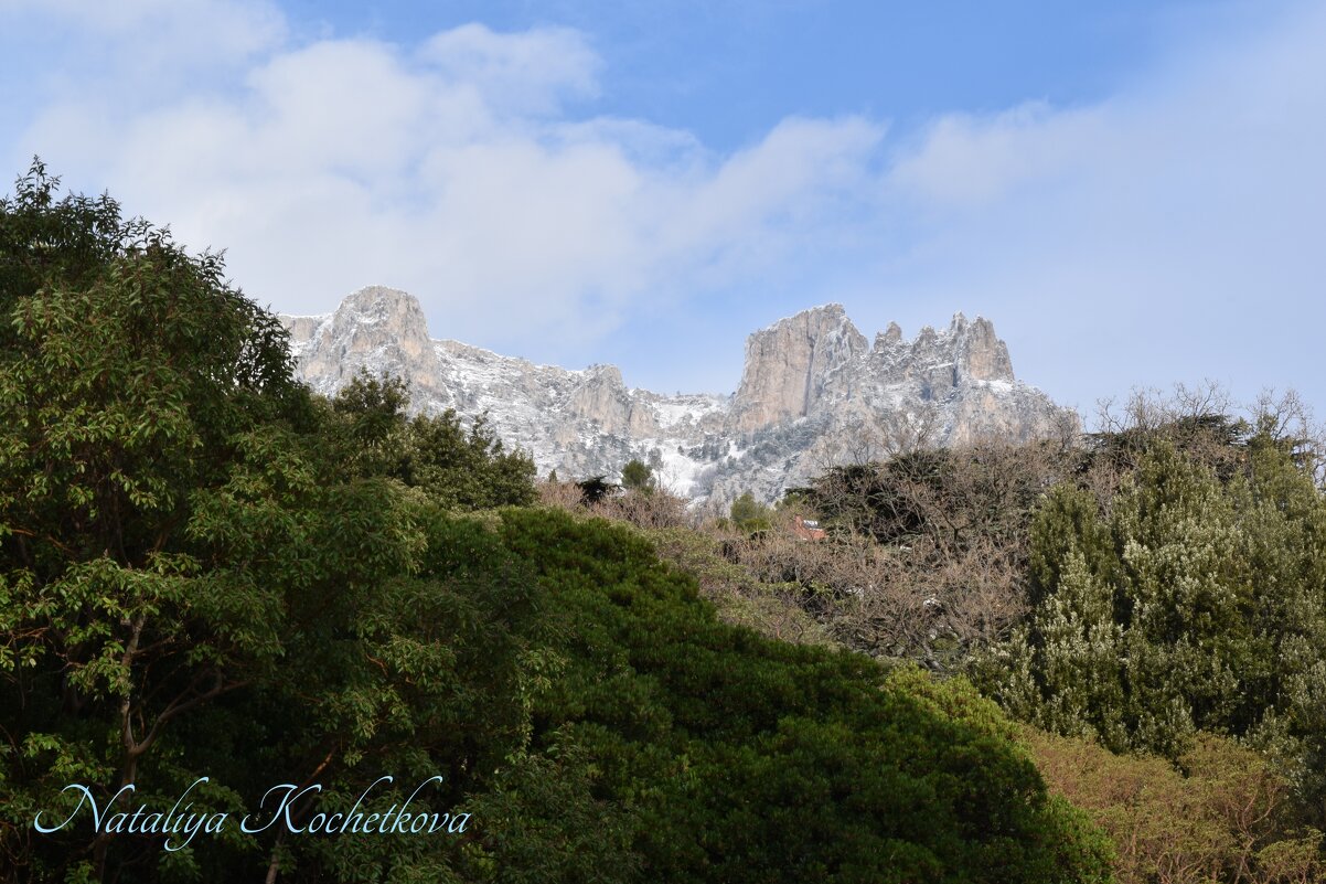 Природа Крыма - Amazing Cosmea
