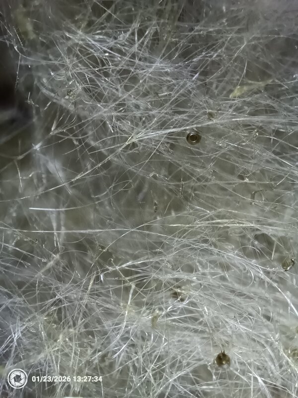 минвата - Конрад Карлович Михельсон