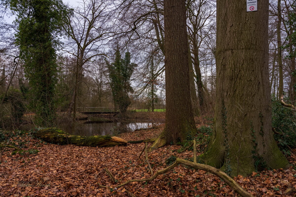 *** - Николай Гирш