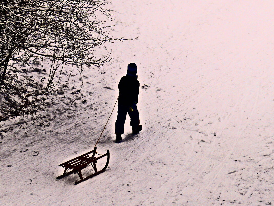 Южная зима - 13 - Алексей Кузнецов