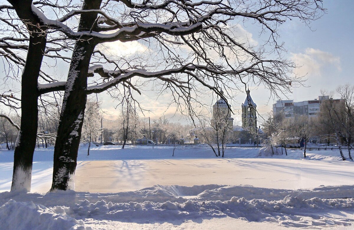 Солнечный день - ZNatasha -