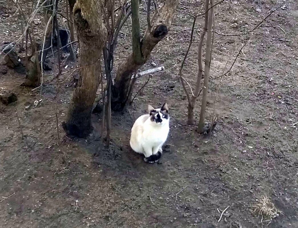 Попрошайничество – образ жизни, призыв о помощи, рассчитанный на человеческое милосердие... - Михаил Андреев Попрошайничество – образ жизни, призыв о помощи, рассчитанный на человеческое милосердие... - Михаил Андреев
