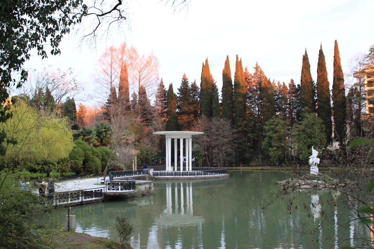 Парк Дендрарий на закате - Валерий 