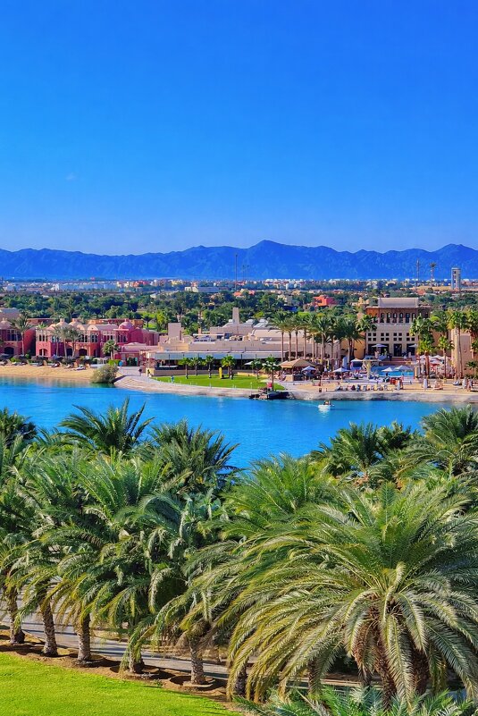 El gouns - Aлёна V