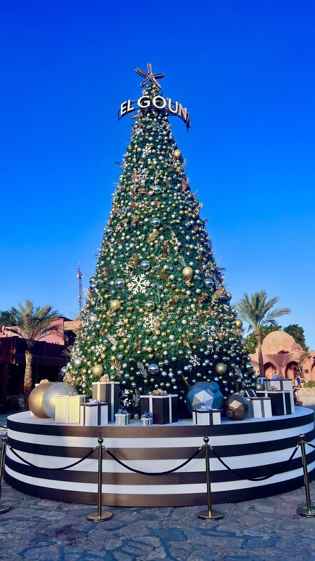 2025-2026 - Aлёна V