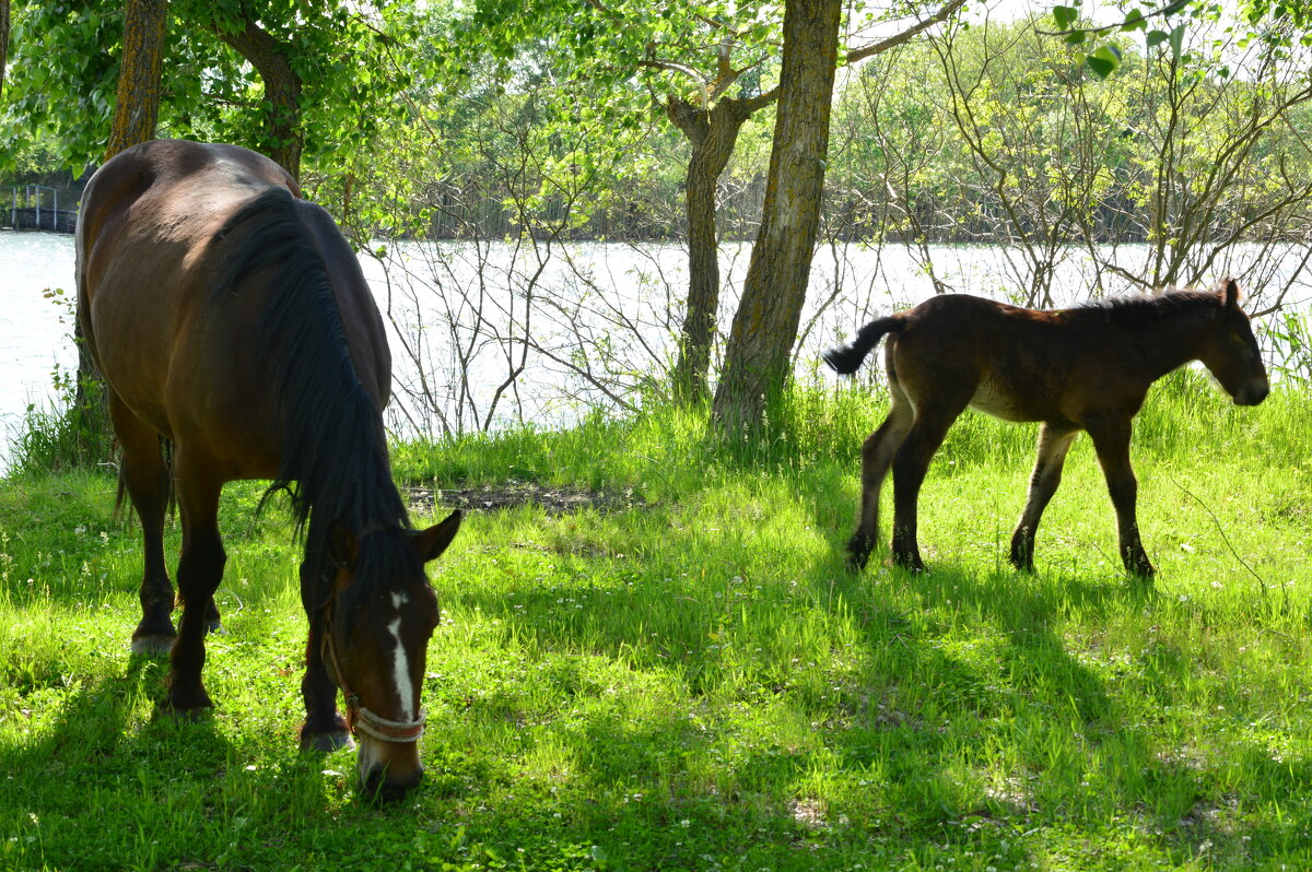 С мамой. - Виктор 