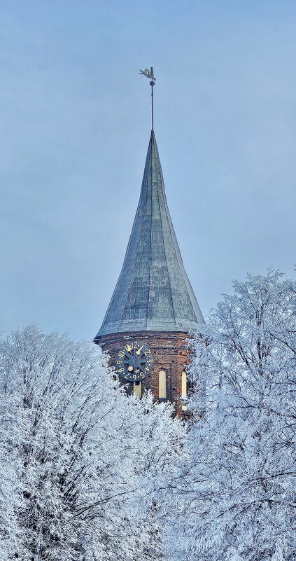 Калининград. Кафедральный собор. - Михаил Свиденцов