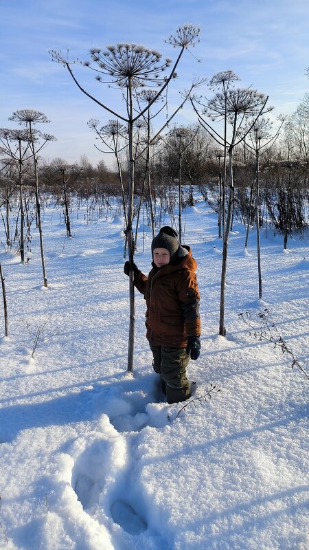 В морозный день января. - Ольга 