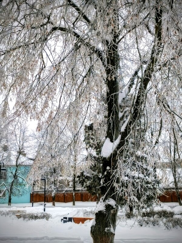 Январь снежный - Михаил Столяров