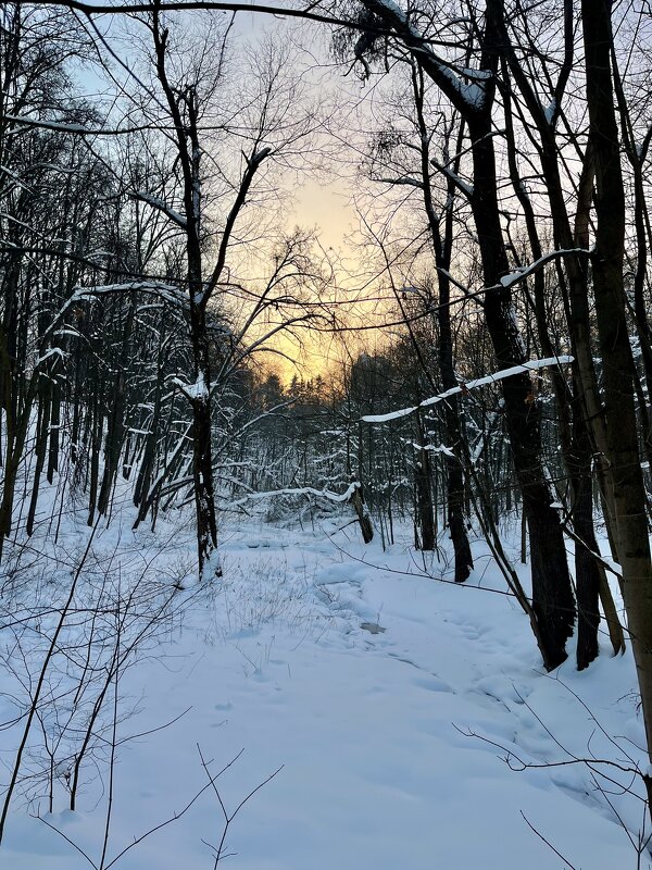Мороз и закат - Александр Конов
