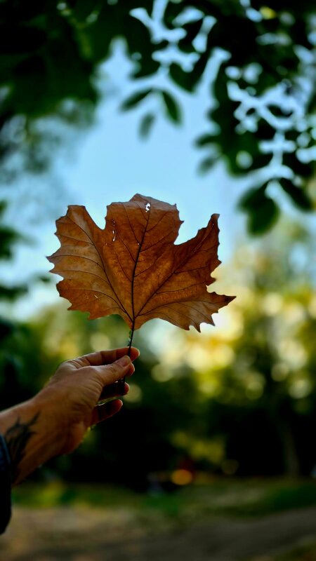 Мгновение, которое не падает - Ольга Косачова
