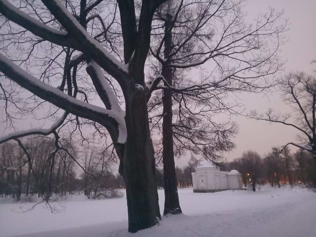 Зима - Сапсан 