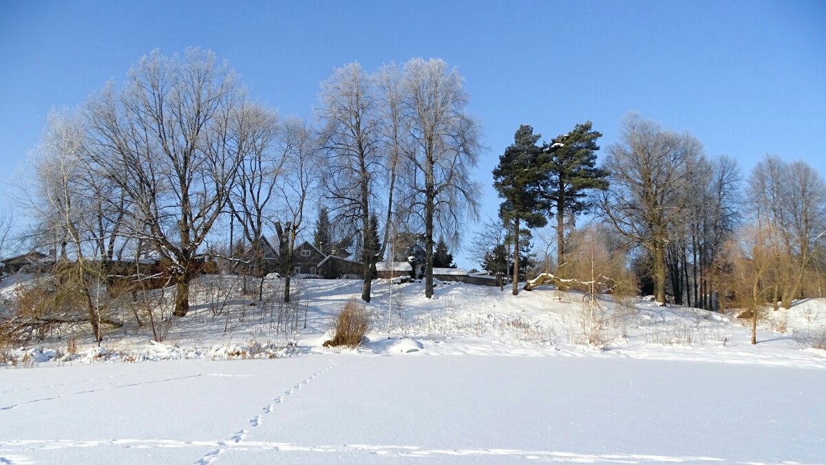 Хуторок на высоком озёрном берегу. - Милешкин Владимир Алексеевич Хуторок на высоком озёрном берегу. - Милешкин Владимир Алексеевич