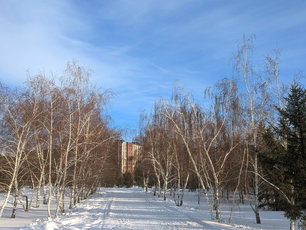 Снежная тропинка - Андрей Хлопонин