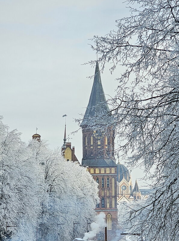 Калининград. Остров Канта. Кафедральный собор. - Михаил Свиденцов Калининград. Остров Канта. Кафедральный собор. - Михаил Свиденцов