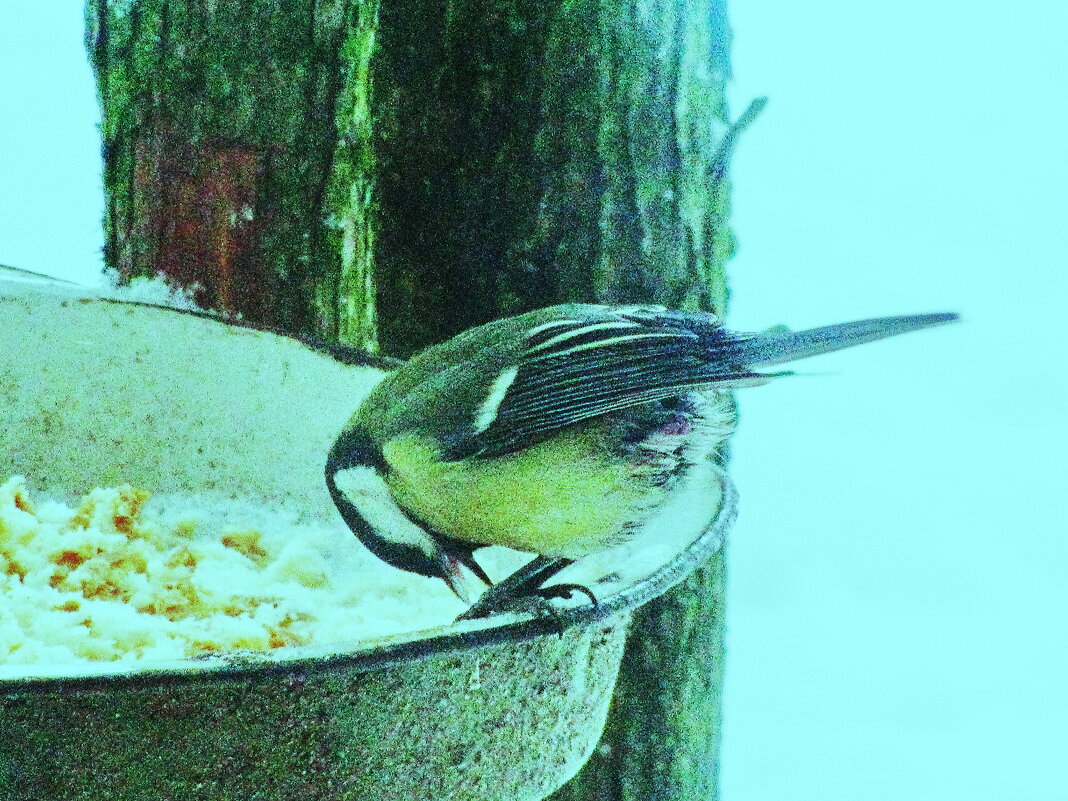 Довольная - Людмила Смородинская