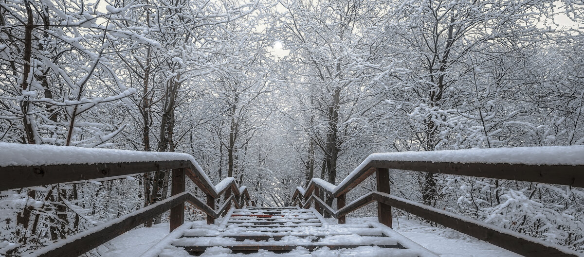 Лестница. - Владимир Владимир