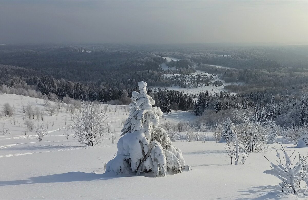 Белогорье - Лариса С.