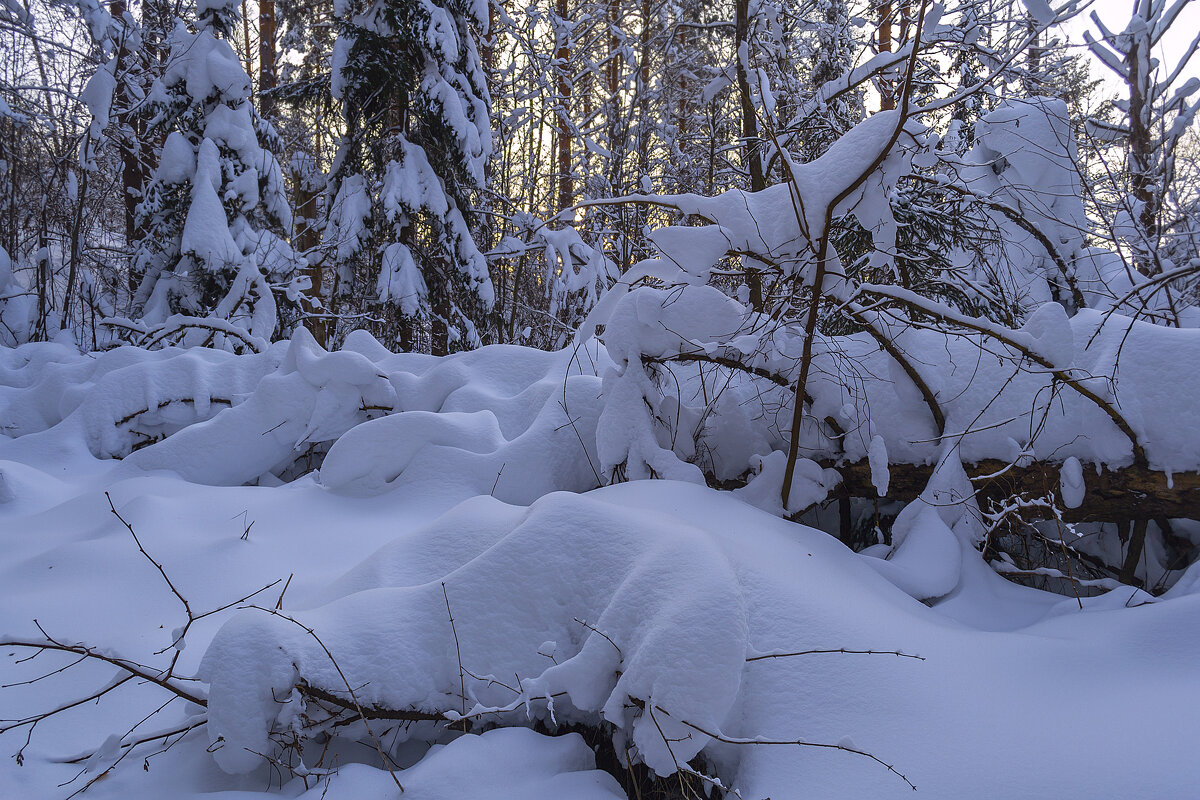 Снежное покрывало - Сергей Цветков