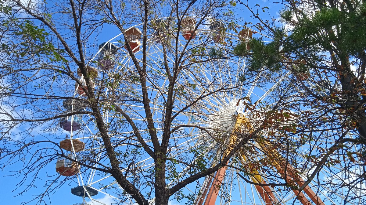 Новороссийск - Елена Шаламова