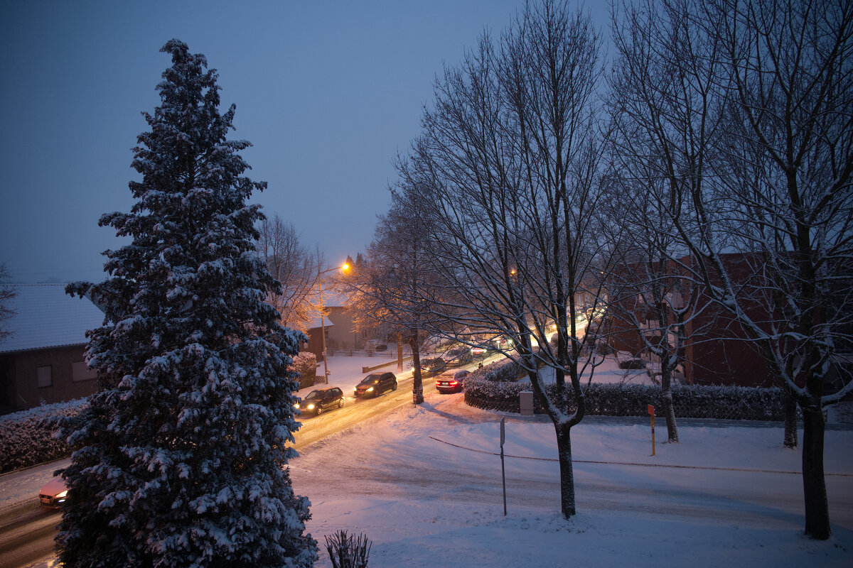 26.01.2026 Утро ... - Jakob Dick