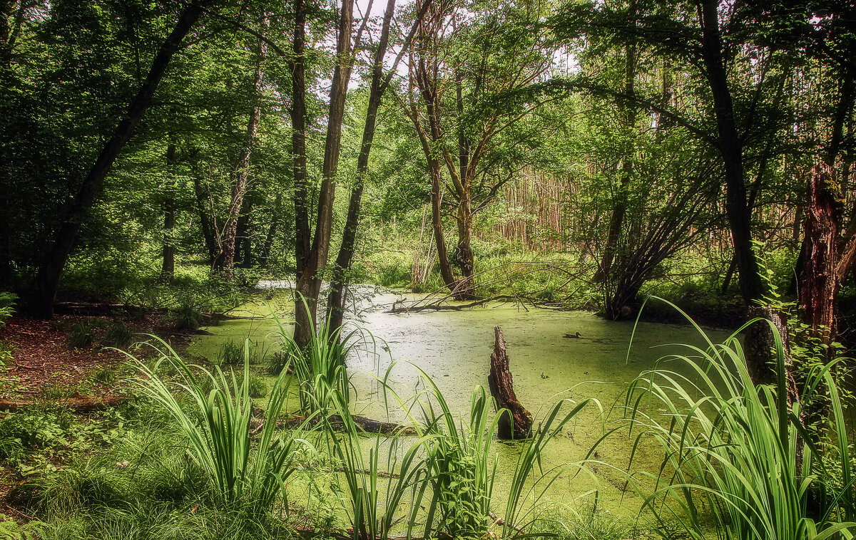 **** - Андроник Александр 