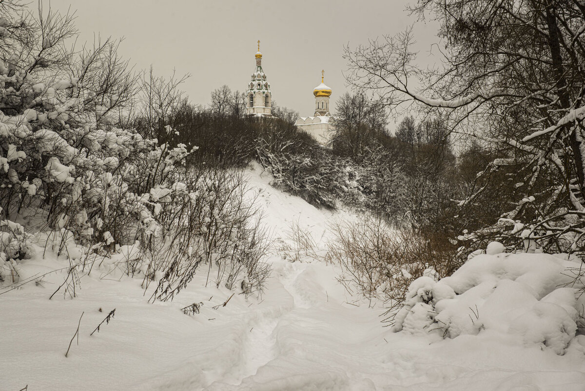 Преображенская церковь в селе Бужарово - Николай Галкин 