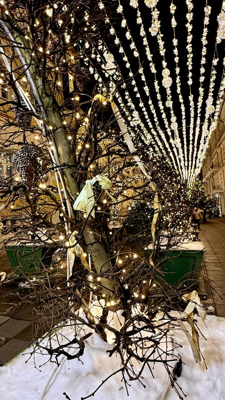 «Новогодняя Москва»’ 2026 - Арина Невская