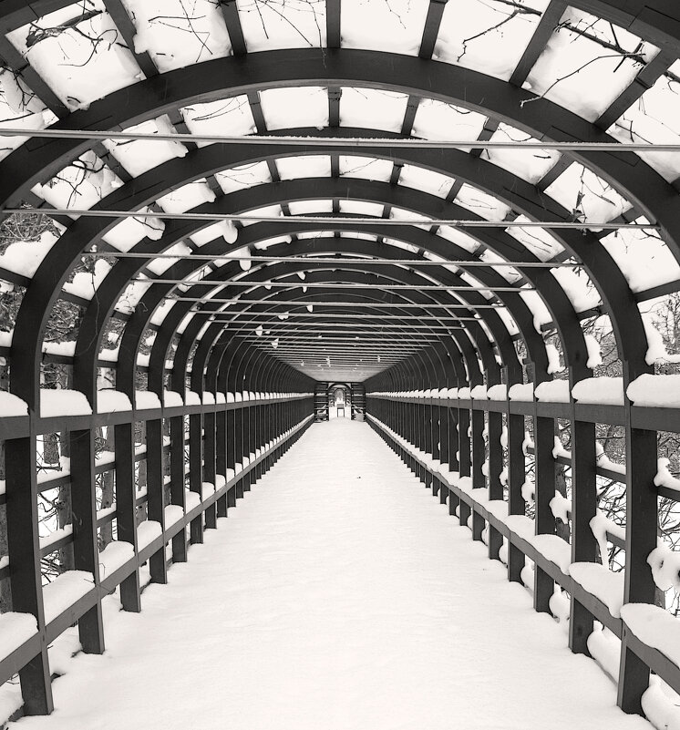 *** - Сергей Григорьев