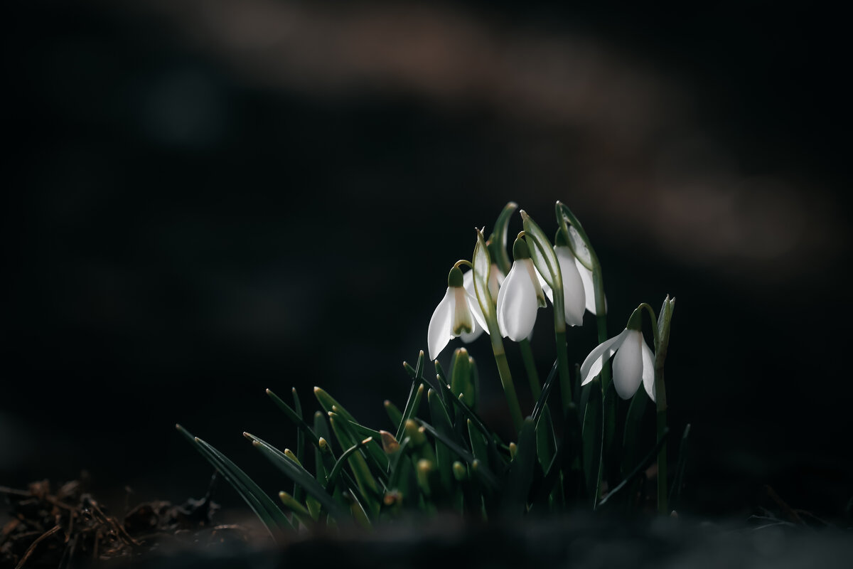 Еще каких-то два месяца... - Игорь Шевченко